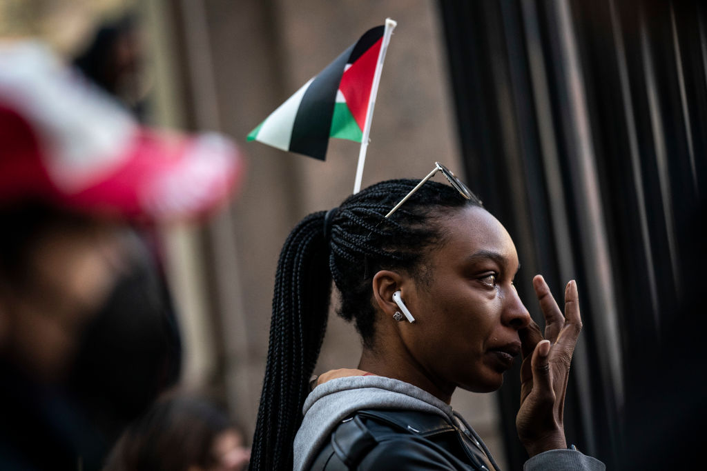 Gaza, protest, UCLA, students, Pro-Israel, Pro-palestinian