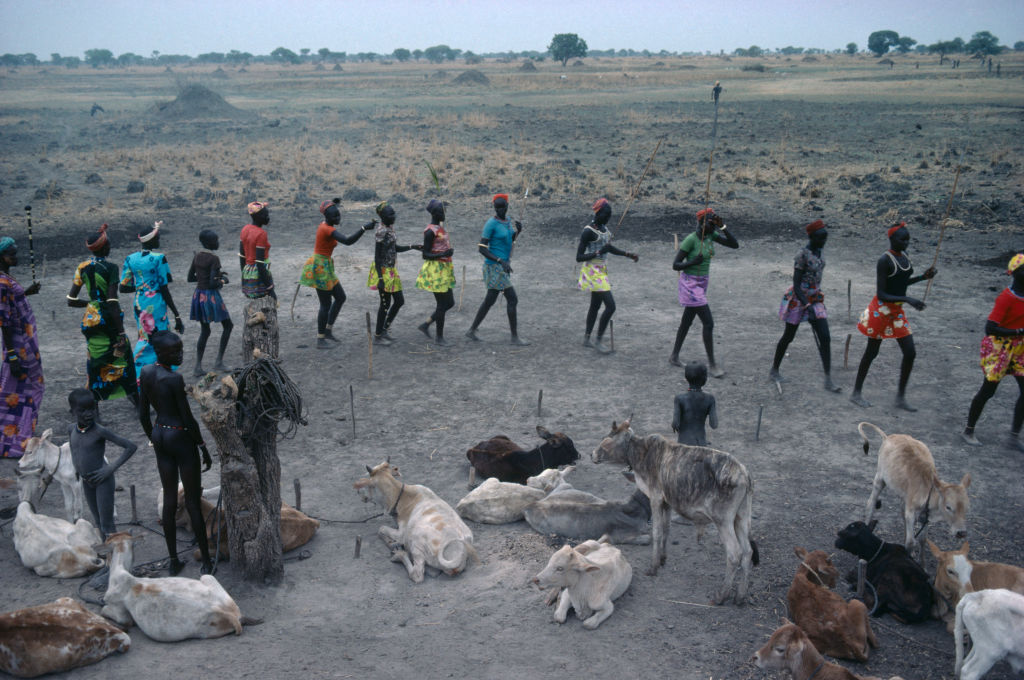 Dinka tribe, Anyuuc, dowry, cow, Taimi Kopfi, Facebook, South, Marriage, Sudan