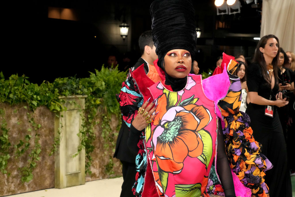 Erykah Badu, health, retreat, Houston