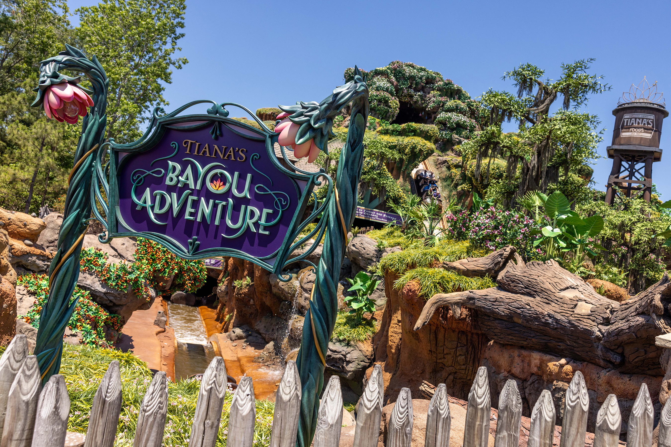 Tiana’s Bayou Adventure