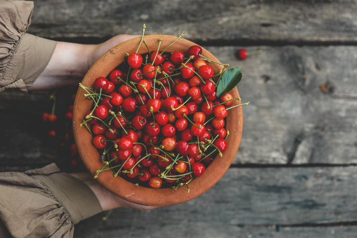 Hand picking fresh delicious cherries, close-up. A woman's hand plucks juicy cherry berries from a tree. The concept of healthy eating. The concept of a healthy lifestyle