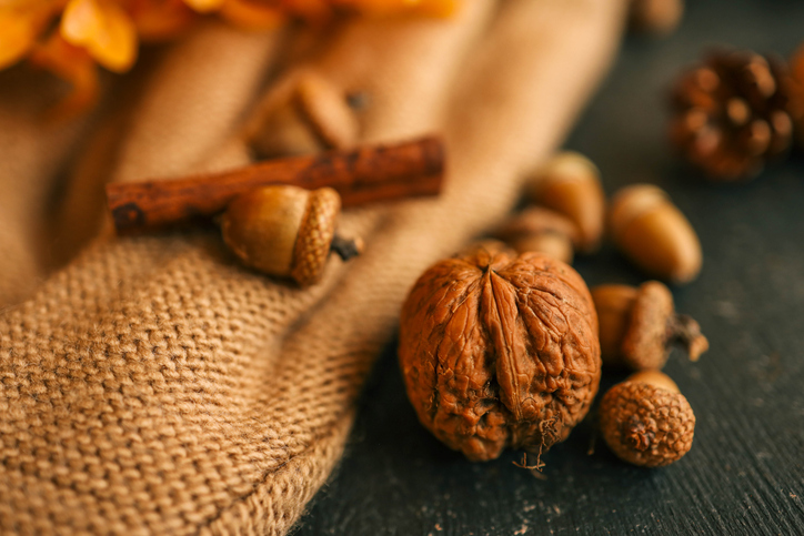 Cozy autumn photo, acorns, nuts, cinnamon