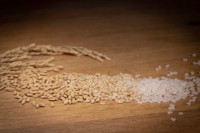 Glute, Exercise, food, workouts, squats, body