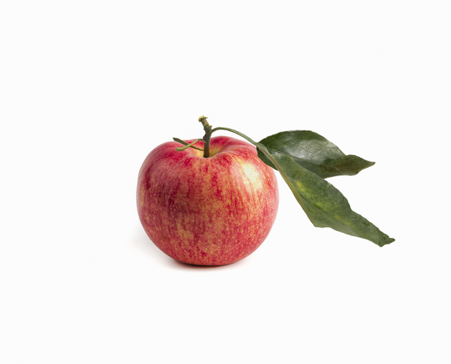 body type, fat, weight, health, Dr. Lydia Alexander 