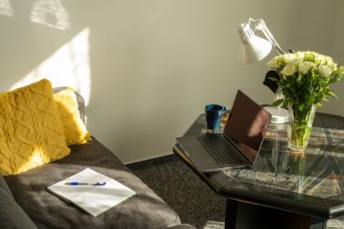 Cozy Living Room with Laptop and Sunligh