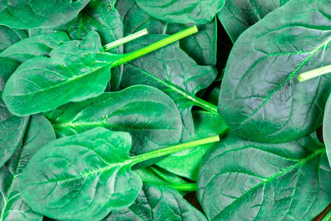 Fresh spinach on wooden background