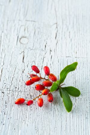 herbs, diet, weight loss, berberine, cayenne pepper,