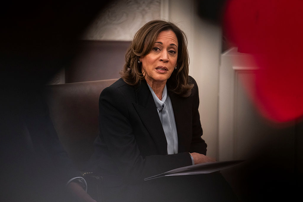 WASHINGTON, DC - JANUARY 13: Vice President Kamala Harris is se