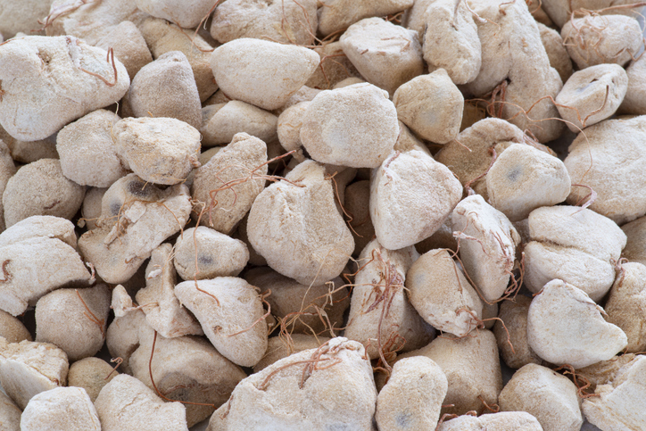 Baobab seed and fruit