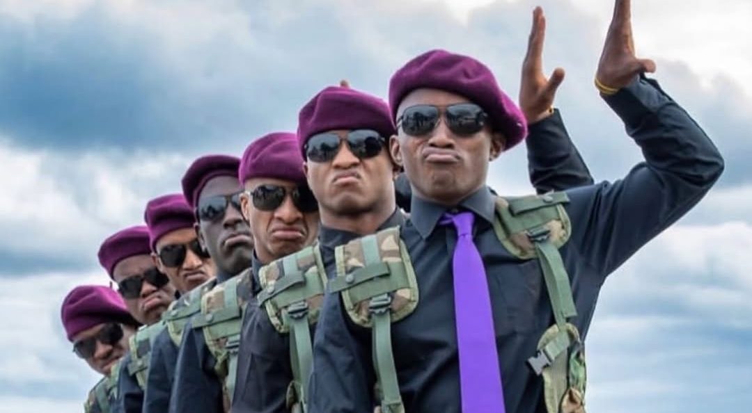 Lambda Gamma Chapter Of Omega Psi Phi